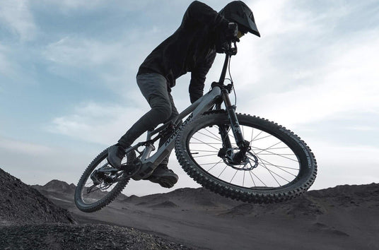 Amflow PX bei 2-Cycle entdecken