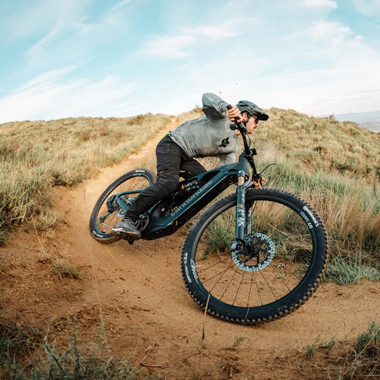 Cannondale Moterra - FlexPivot-Technologie