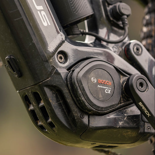 Focus_Thron2_mit_Bosch CX Motor