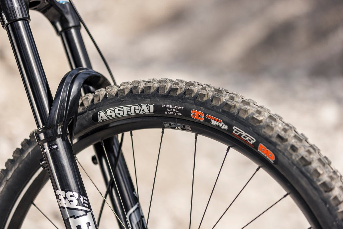 Focus SAM 8 - 800 Wh 2027 - Bei 2-Cycle GmbH Freiburg entdecken!