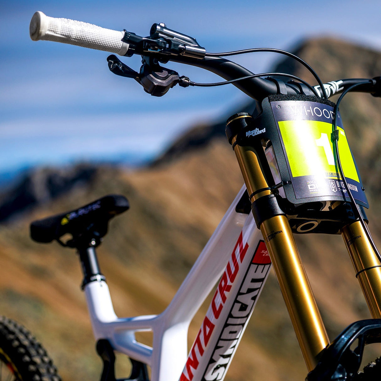 OneUp Goldstone Handles