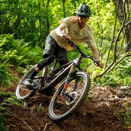 SantaCruz_Bronson_Kategorie_2-Cycle_m1
