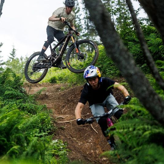 SantaCruz_Bronson_Kategorie_2-Cycle_m2