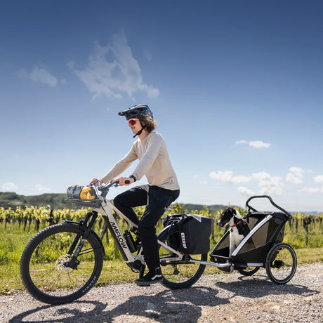 Amflow TL Carbon - Bei 2-Cycle GmbH Freiburg entdecken!