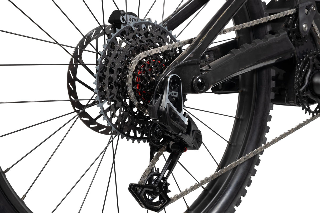 FORBIDDEN Druid Lite 1