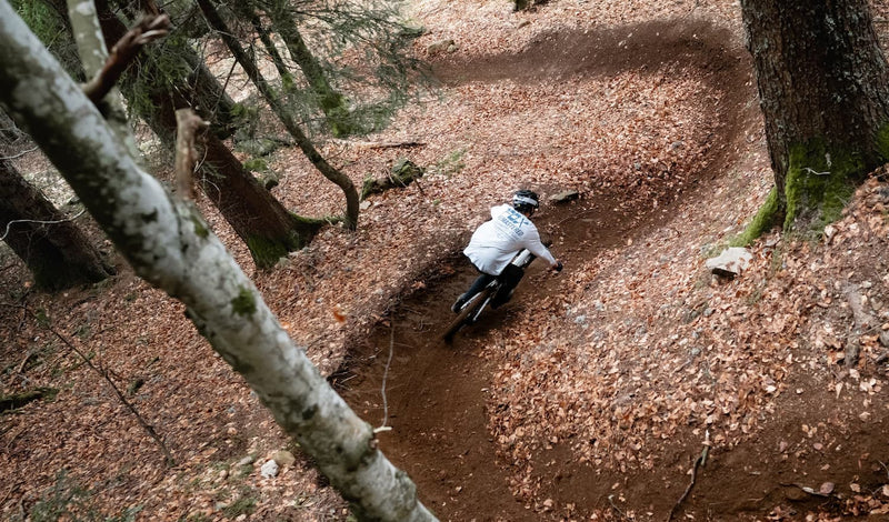 Mountainbike_Kategorie 2-Cycle