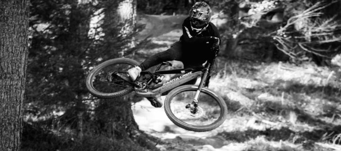 SALE_Banner_David_Whip