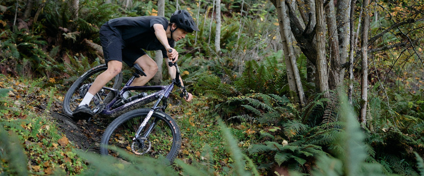 SantaCruz_Tallboy_Kategorie_2-Cycle_d