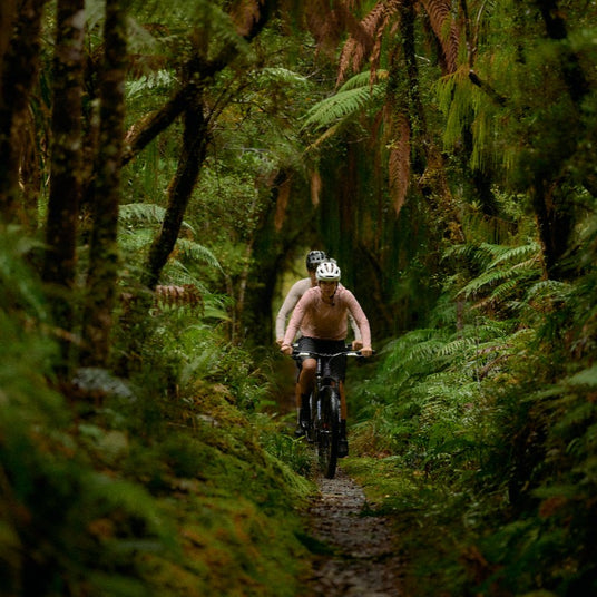 SantaCruz_Tallboy_Kategorie_2-Cycle_m3