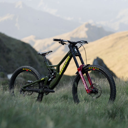 SantaCruz_V10_Kategorie_2-Cycle_m2