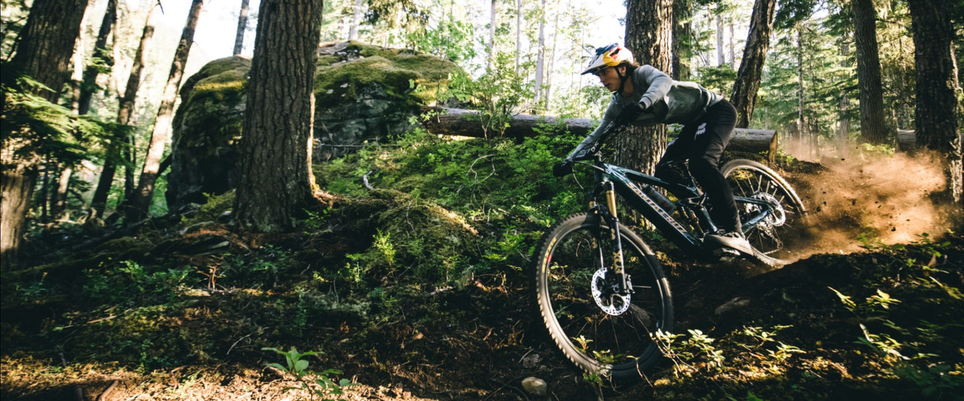 SantaCruz_Vala_Kategorie_2-Cycle_d
