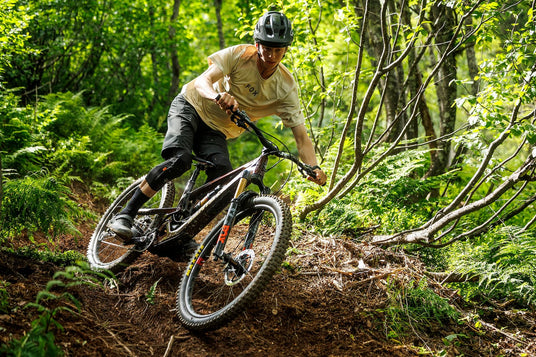 Santa_Cruz_Bronson_5_2025_rootbeer