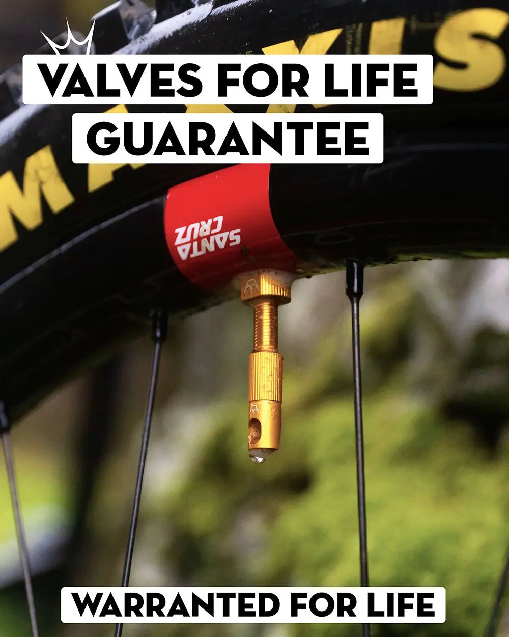 Peaty's x Chris King MK2 Tubeless Valves